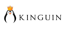 Kinguin | קינגווין